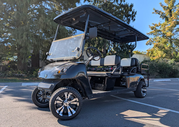 Rental Golf Carts