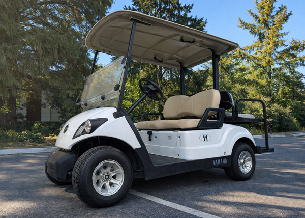Rental Golf Carts