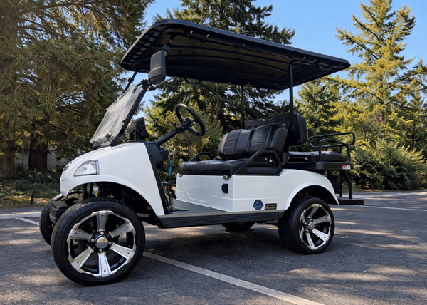 Rental Golf Carts