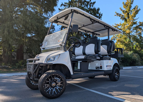 Rental Golf Carts